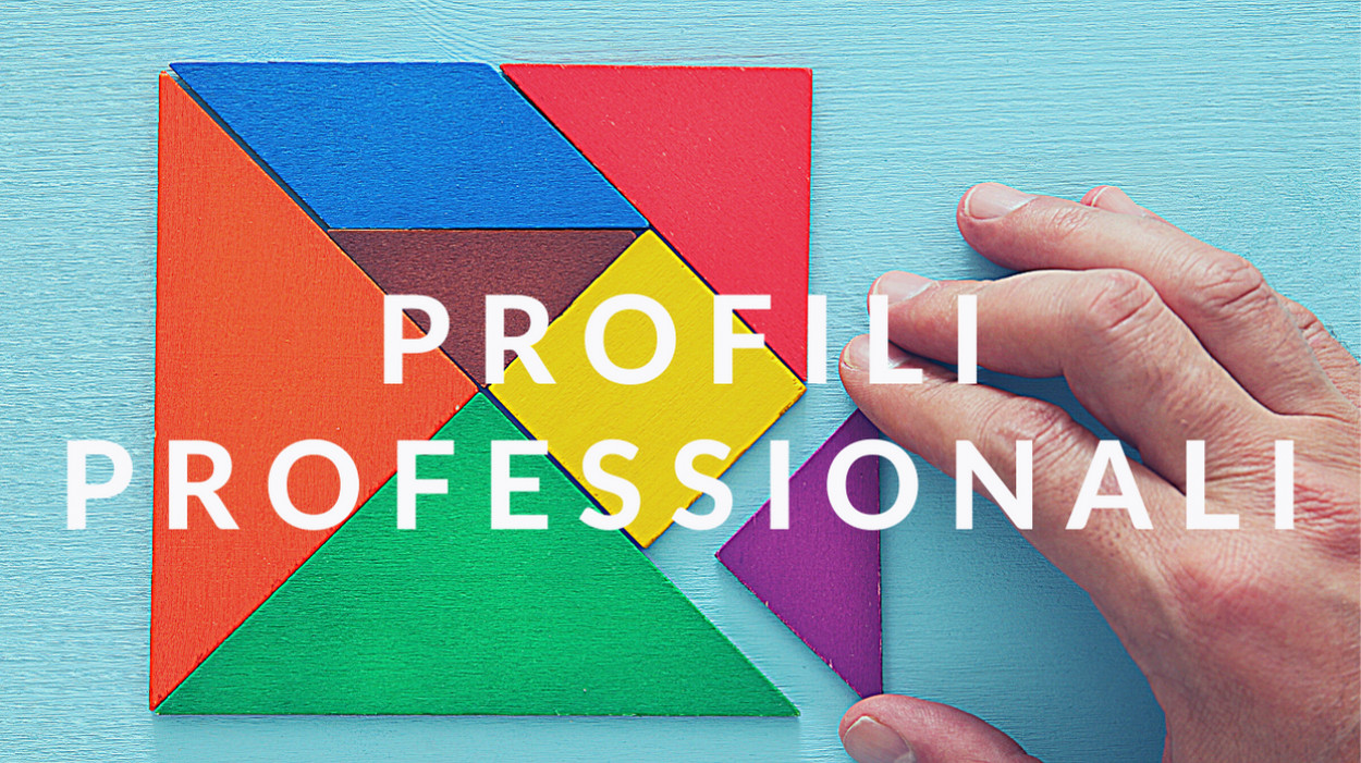 icona Profili professionali