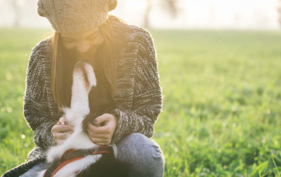 immagine articolo Il ruolo dello psicologo negli interventi assisti con animali: un sondaggio