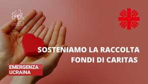 immagine articolo Sosteniamo la raccolta fondi Caritas