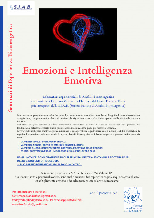 immagine articolo INTELLIGENZA EMOTIVA