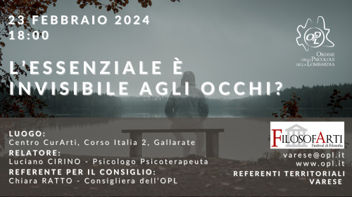 immagine articolo VARESE – L’essenziale è invisibile agli occhi?